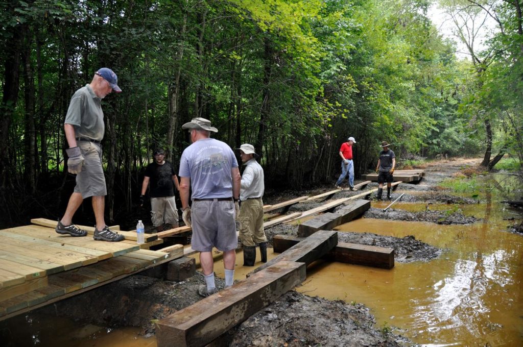 Conservation Project For Birds North Carolina