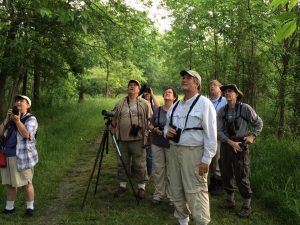 Mason Farm Birding