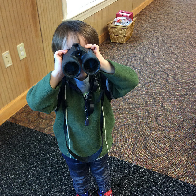 Begin Birdwatching at New Hope Audubon