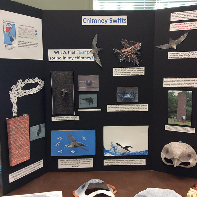 Chimney Swift Learning Center