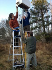 Installing a Barn Owl Nest Box