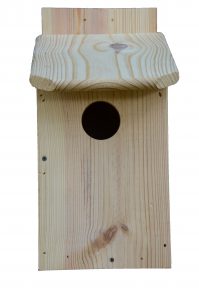 Eastern Screech-owl Nest Box