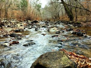 a creek with rushing water and rocks