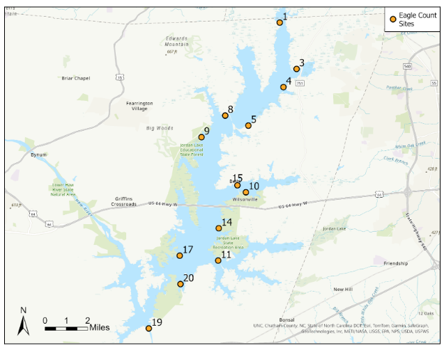 Map of Eagle Count sites at Jordan Lake. 