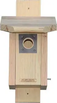 Bluebird House