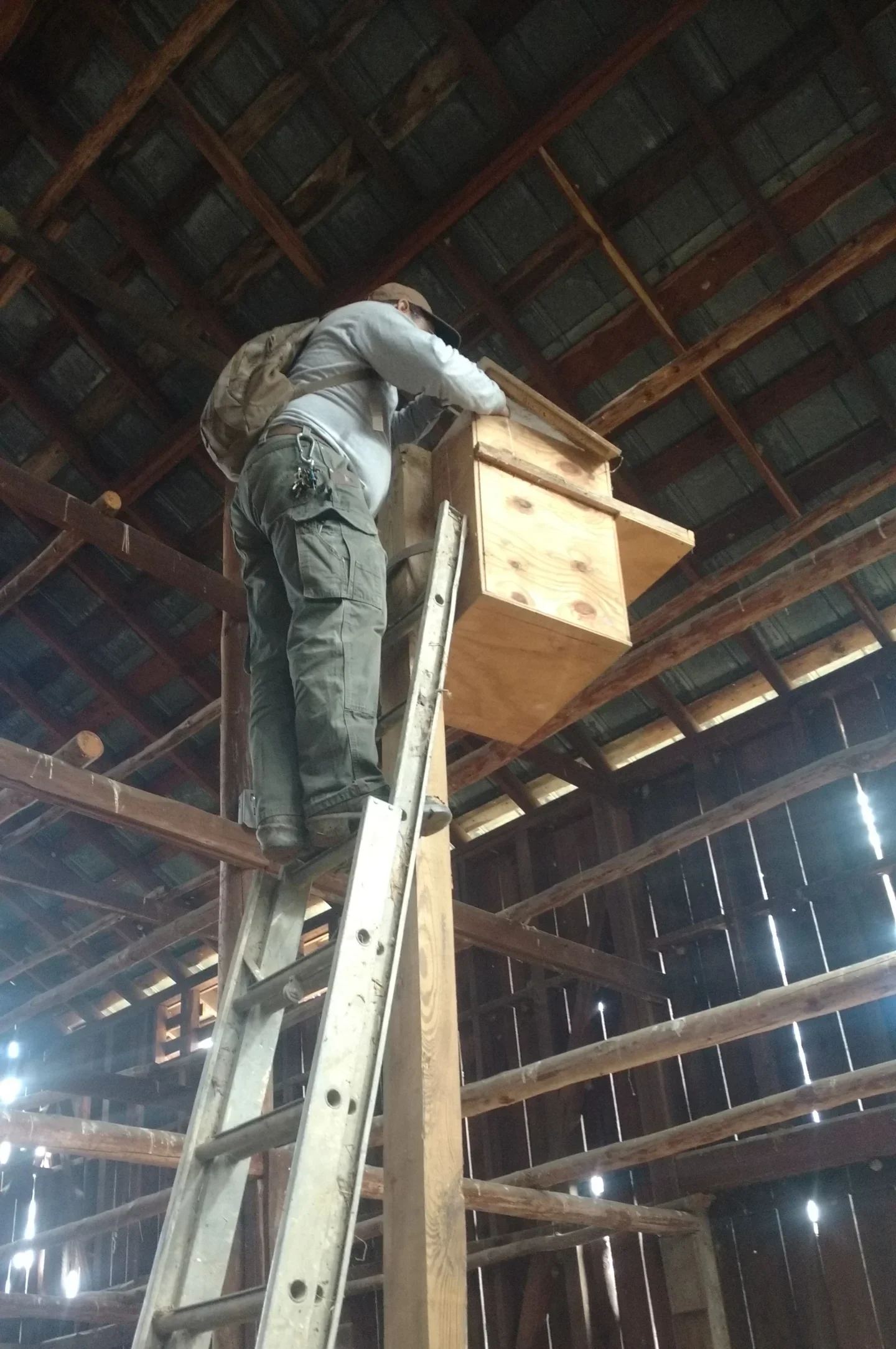 Installation