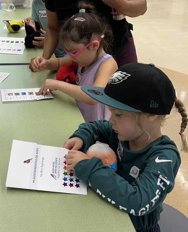 Young girl placing stickers in a book