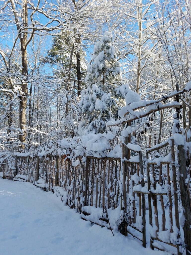 Photo of wooden fence and trees with snow on them