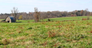 Photo of pasture land with barn on the left in background