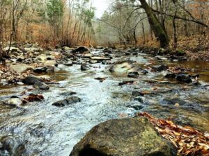 Photo of New Hope Creek