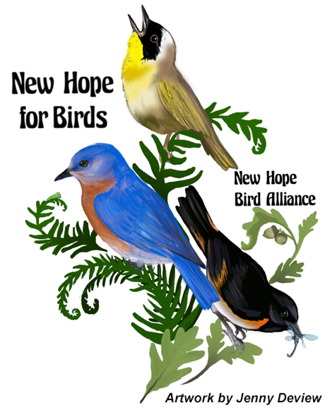 Fund the Future logo, which says New Hope for Birds and New Hope Bird Alliance, with a painting of three birds - one blue, one yellow and one black.